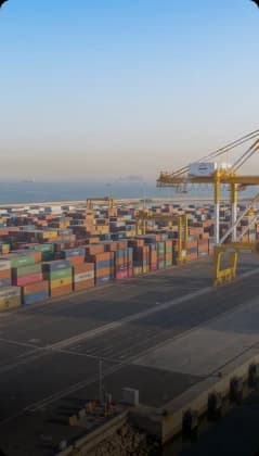 Export-oriented businesses